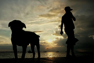 AI generated man with dog at pier silhouette - pet companion art